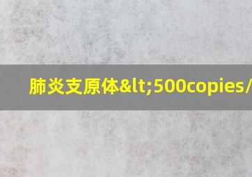 肺炎支原体<500copies/ml